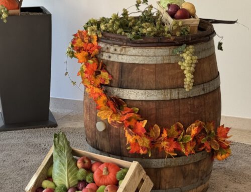 Bauernfest bei Sonnenschein
