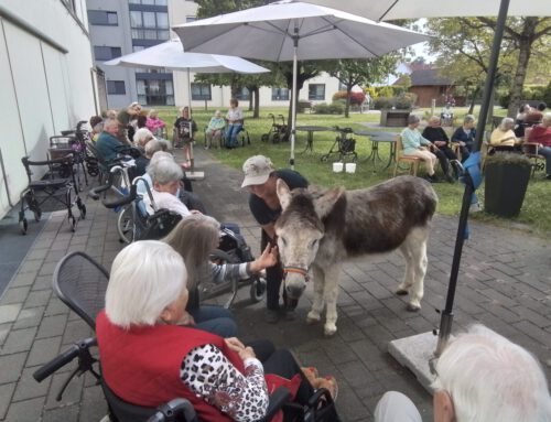 Viel Freude mit Karim und Baldur