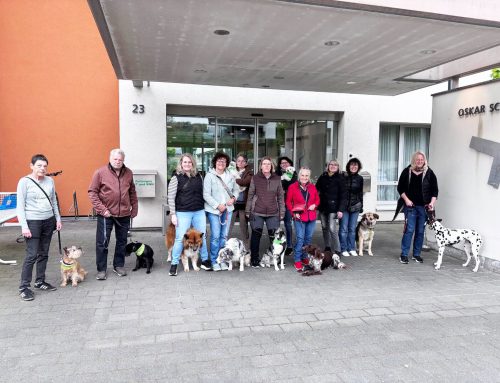 Hundebesuchsdienst feiert 20-jährige Begleitung in unseren Pflegeeinrichtungen